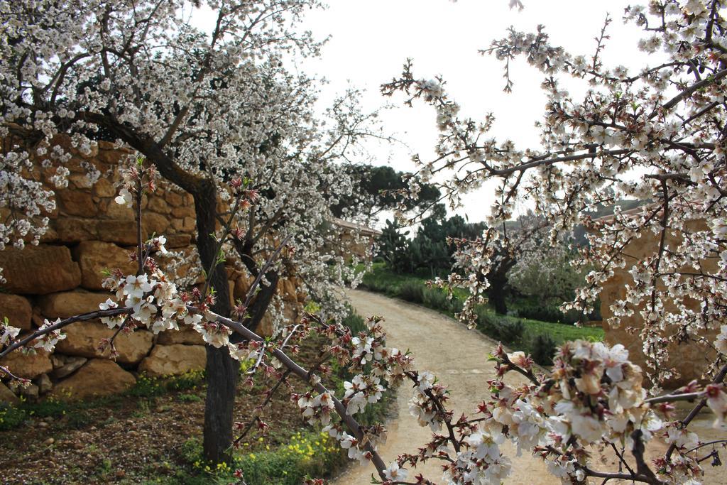 Agriturismo Feudo Muxarello Villa Aragona Ngoại thất bức ảnh